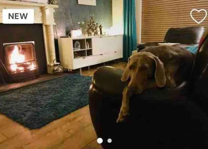 Pet Friendly Derry Airport, Nature Walks