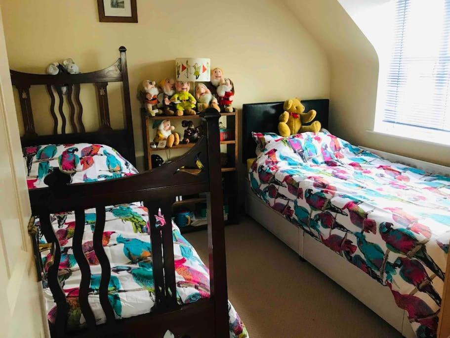 Pet Friendly Derry Airport, Nature Walks *
