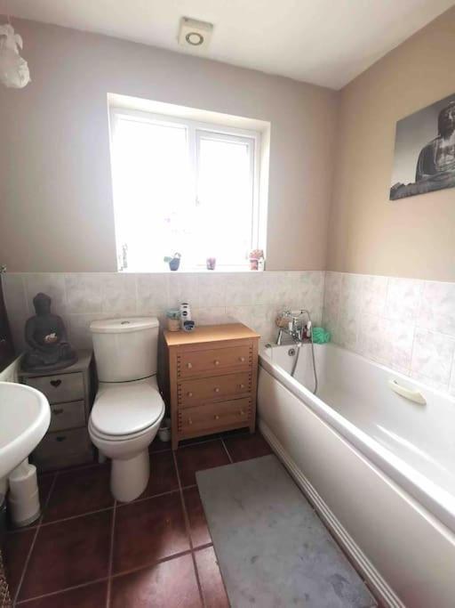 Pet Friendly Derry Airport, Nature Walks