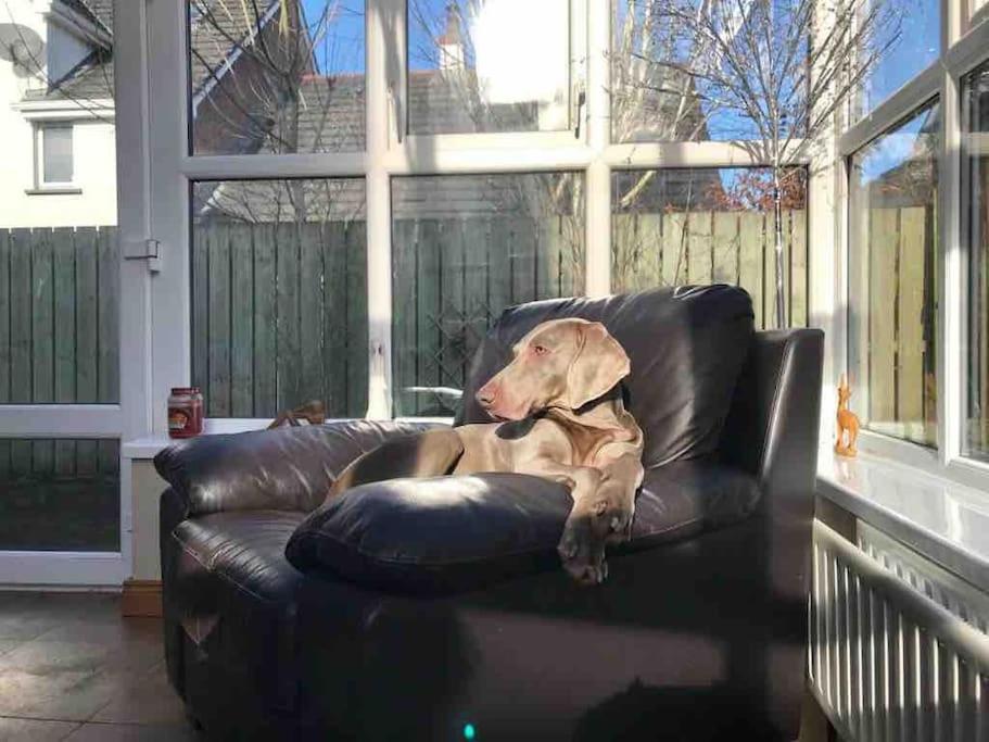 Pet Friendly Derry Airport, Nature Walks Holiday home Eglinton