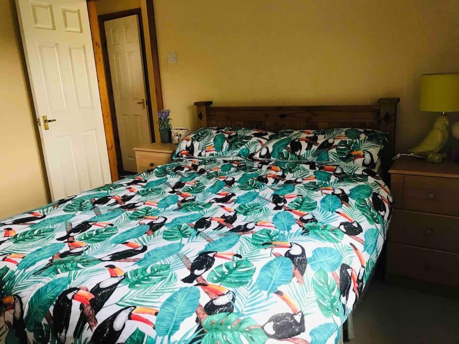Pet Friendly Derry Airport, Nature Walks Eglinton