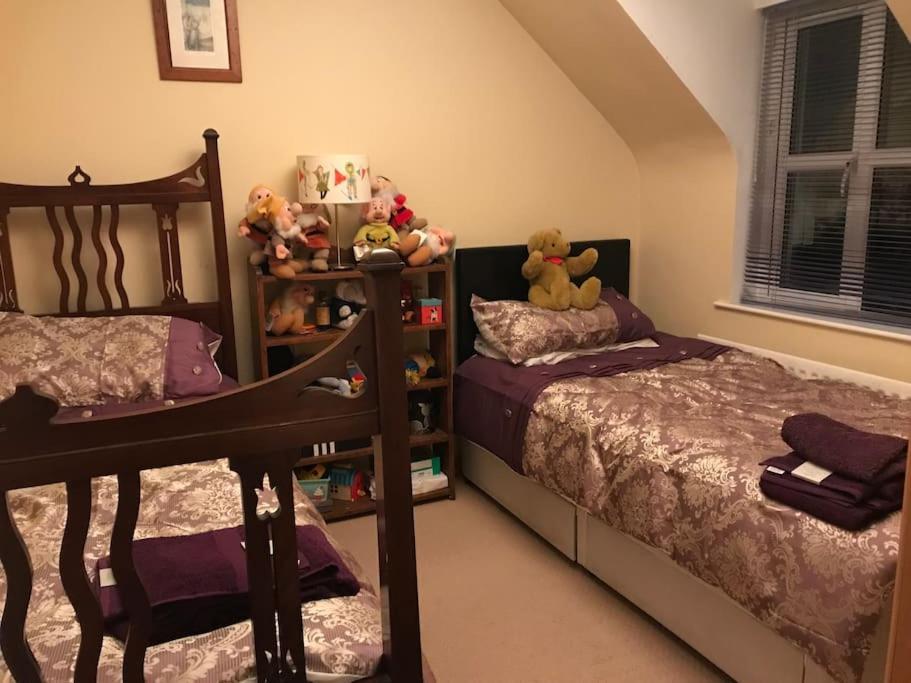 Holiday home Pet Friendly Derry Airport, Nature Walks *
