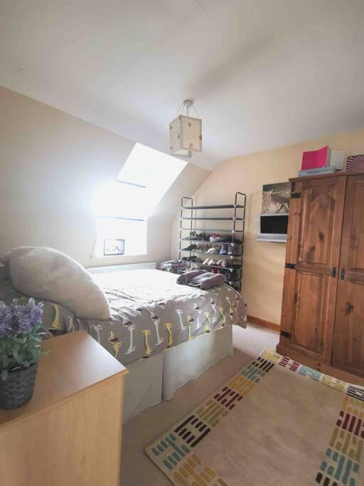 Pet Friendly Derry Airport, Nature Walks