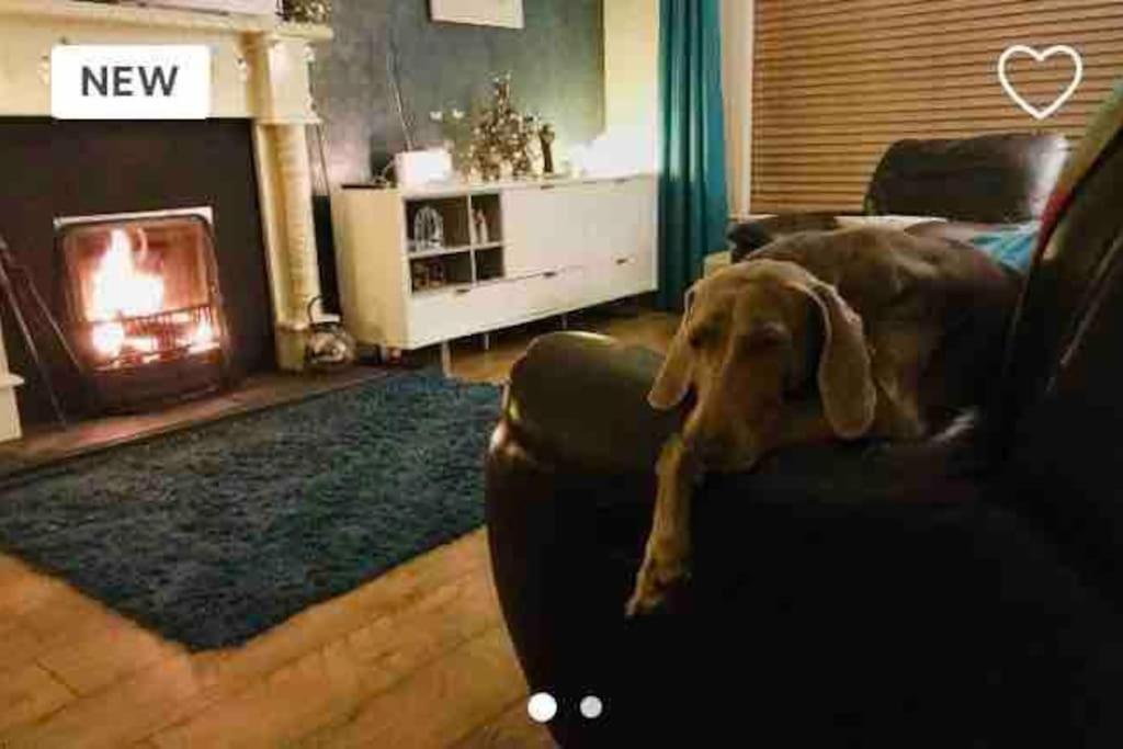 Pet Friendly Derry Airport, Nature Walks