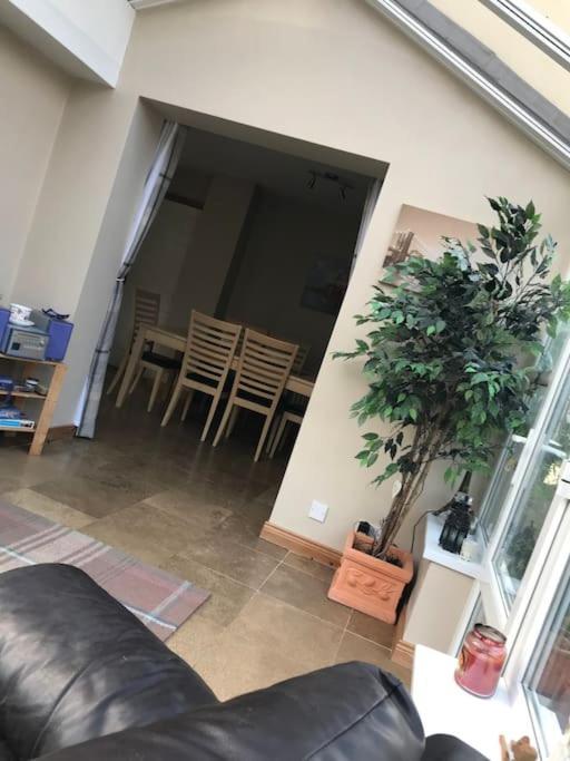 Pet Friendly Derry Airport, Nature Walks Eglinton