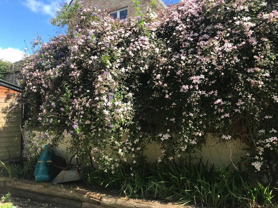 Pet Friendly Derry Airport, Nature Walks Casa vacanze Eglinton
